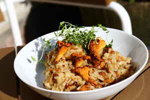 Risotto med kantareller, billede 4